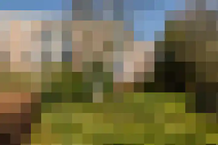 Okeghemlaan 13 C Breda thumbnail 27