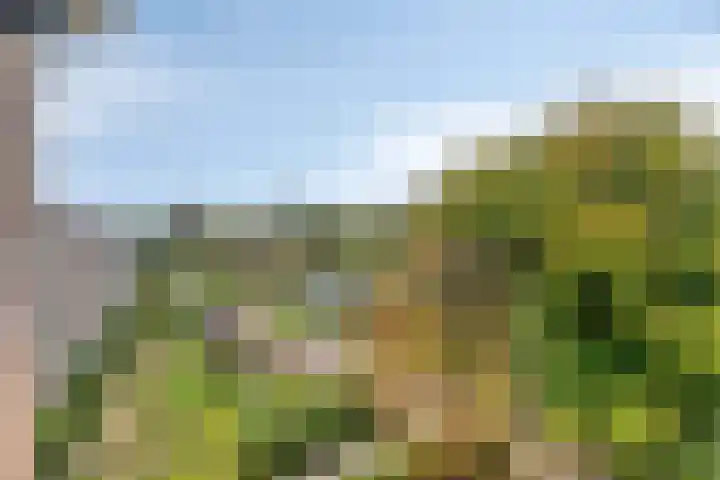 Okeghemlaan 15 D Breda thumbnail 13
