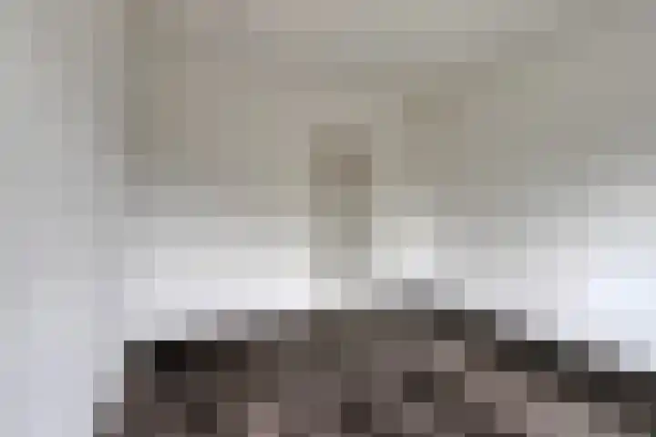 Okeghemlaan 15 D Breda thumbnail 15