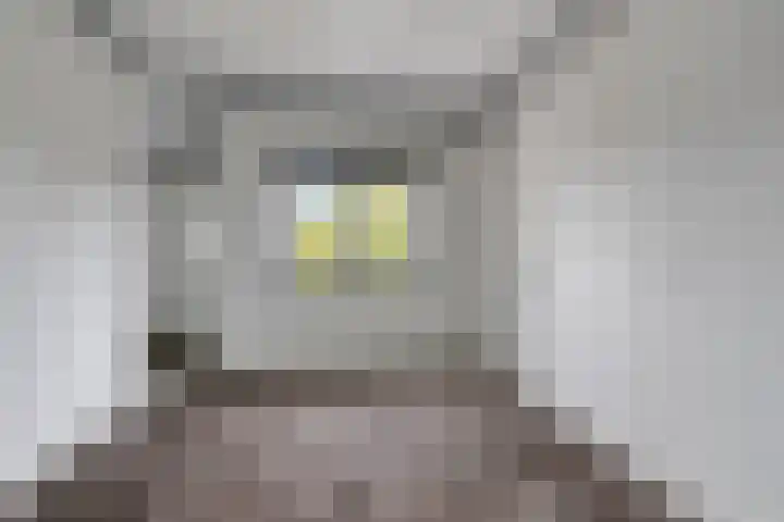 Okeghemlaan 15 D Breda thumbnail 16