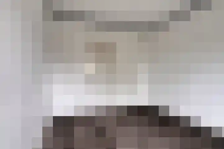 Okeghemlaan 15 D Breda thumbnail 17