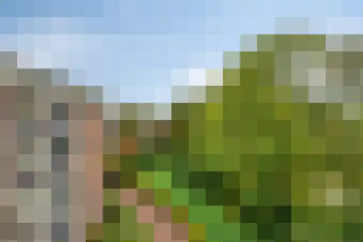 Okeghemlaan 15 D Breda thumbnail 21