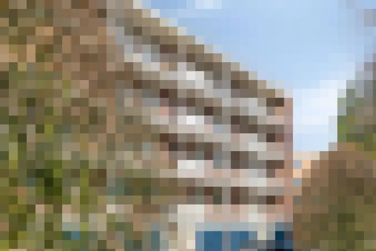 Okeghemlaan 19 B Breda thumbnail 32