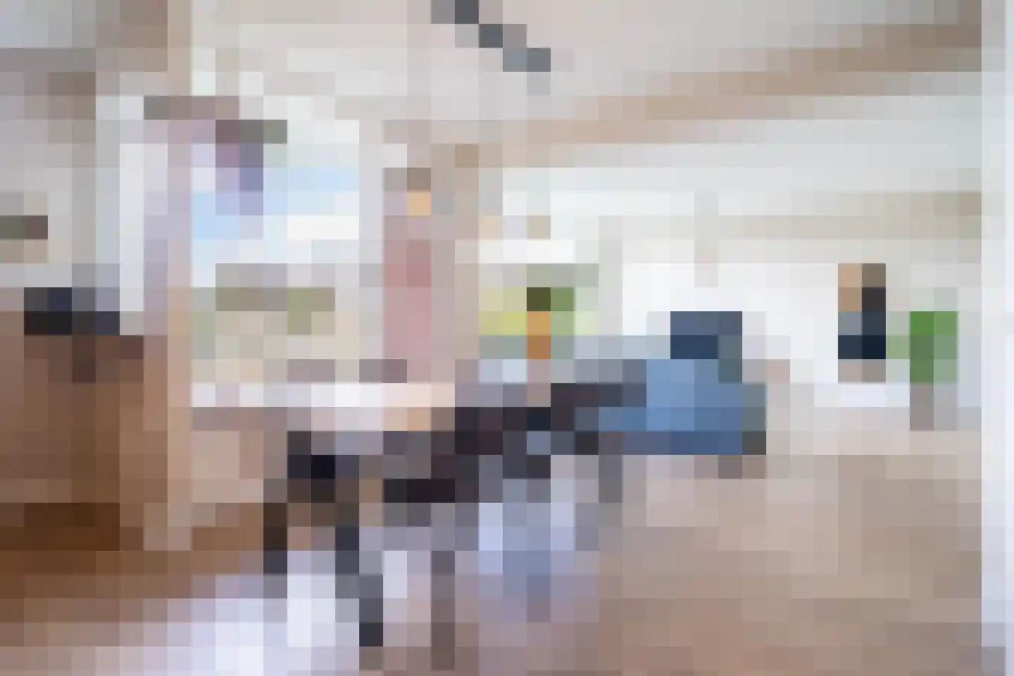 Okeghemlaan 21 C Breda thumbnail 12