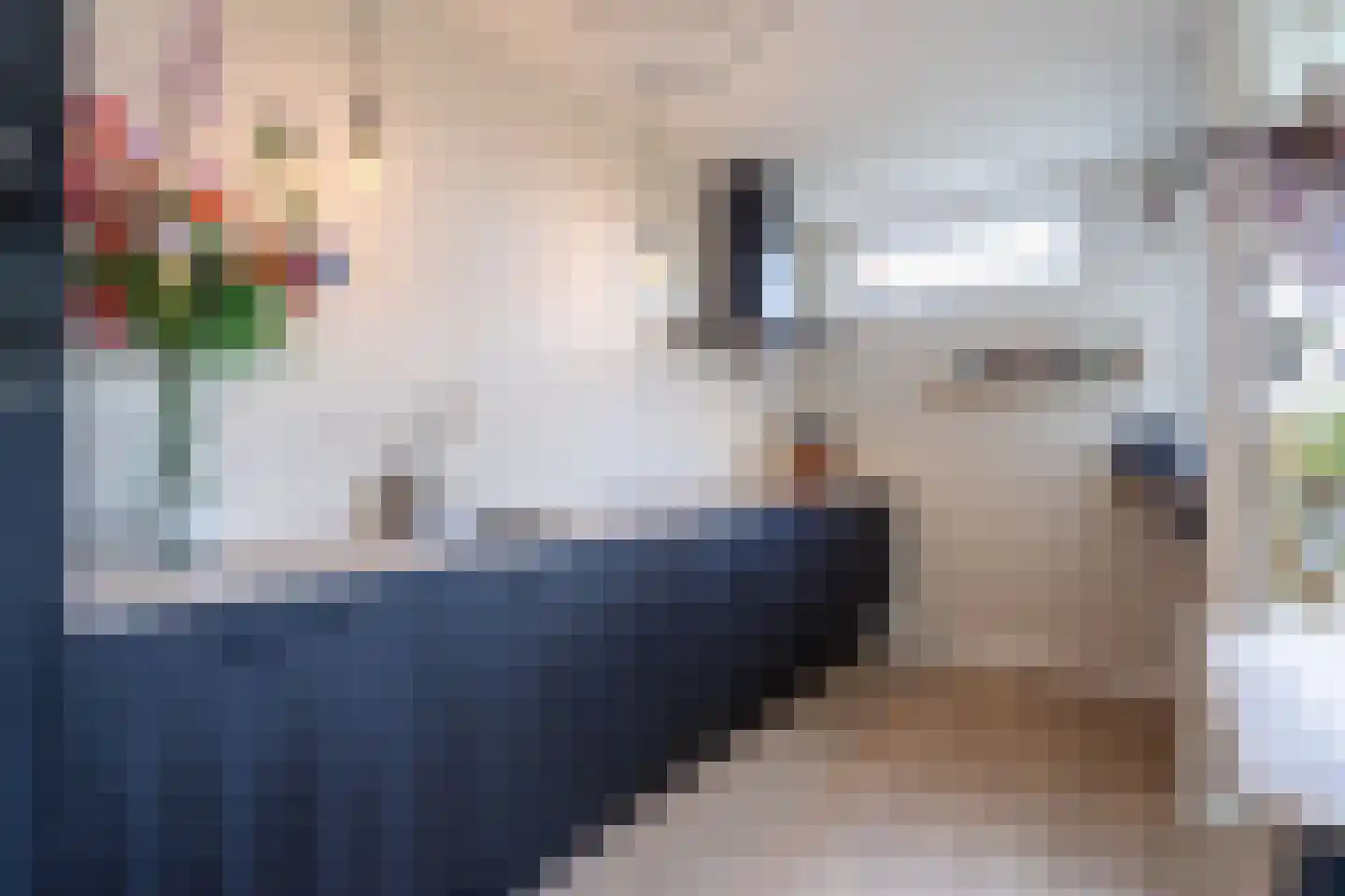 Okeghemlaan 21 C Breda thumbnail 15