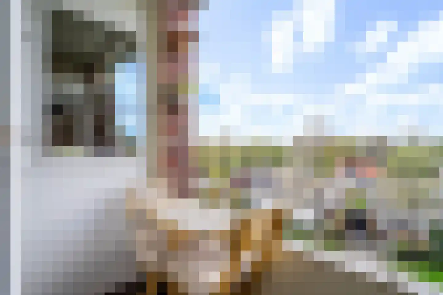 Okeghemlaan 21 C Breda thumbnail 17
