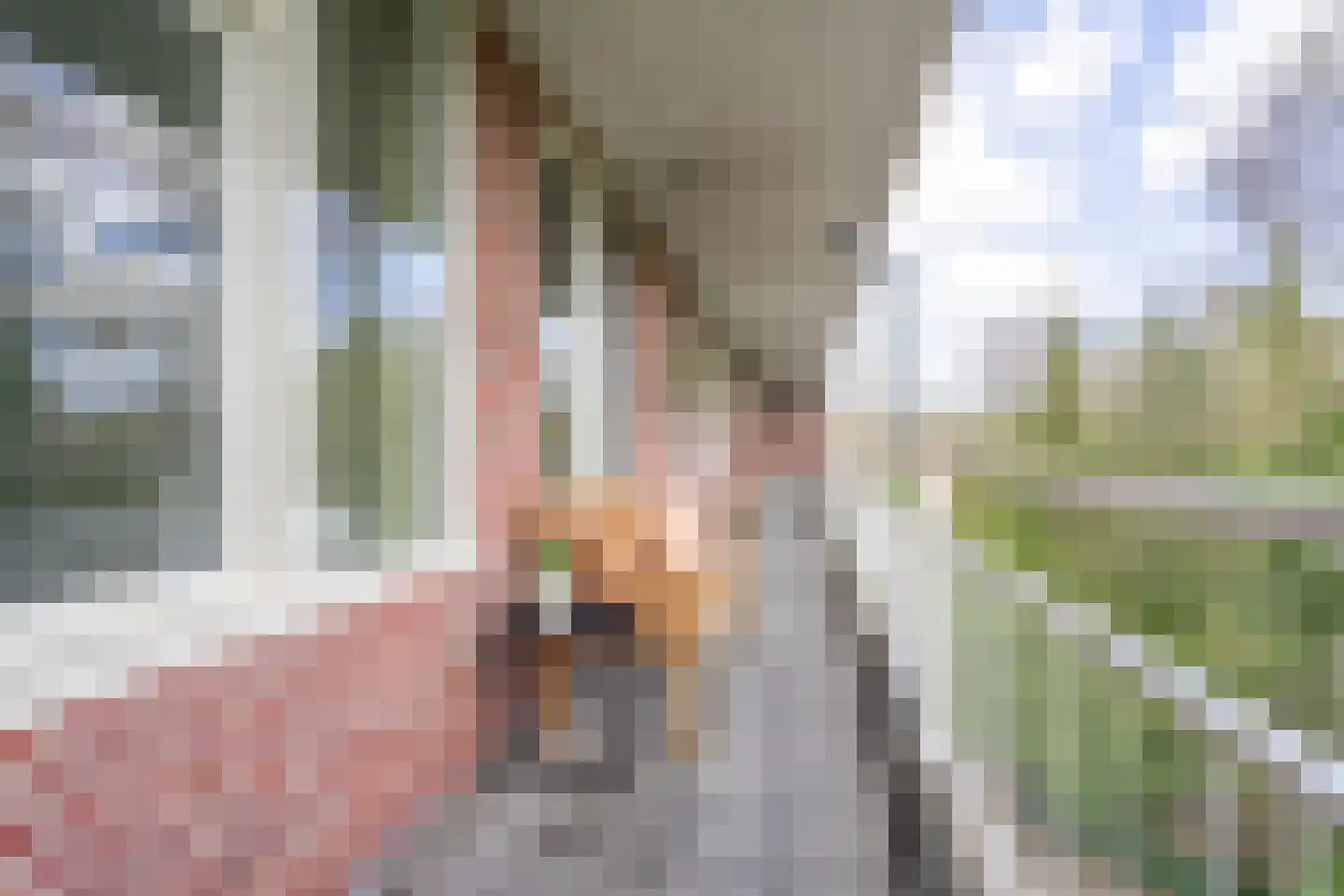 Okeghemlaan 21 C Breda thumbnail 29
