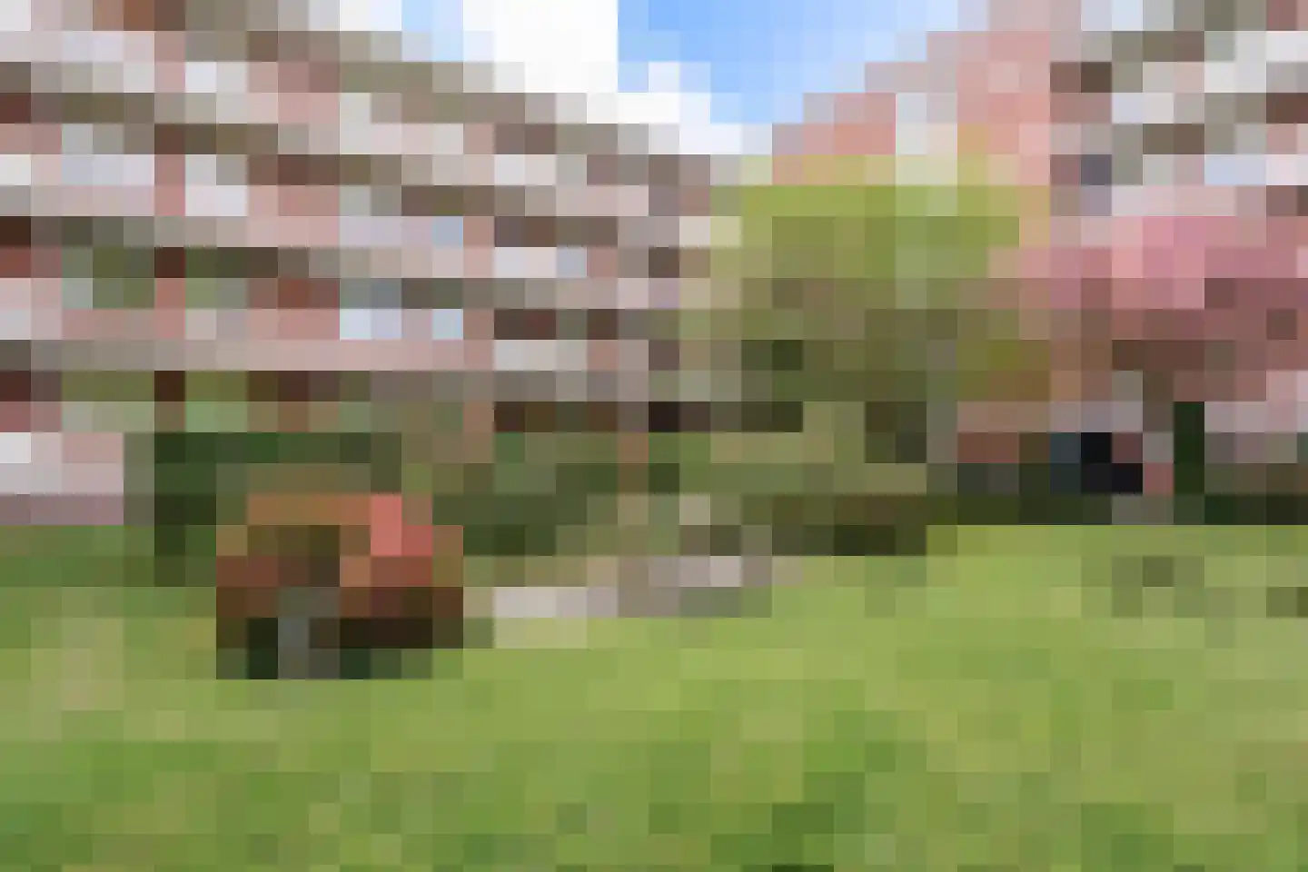 Okeghemlaan 21 C Breda thumbnail 30