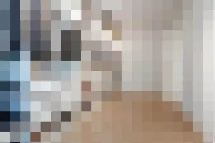 Okeghemlaan 39 Breda thumbnail 30