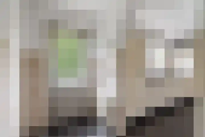 Okeghemlaan 4 Breda thumbnail 21
