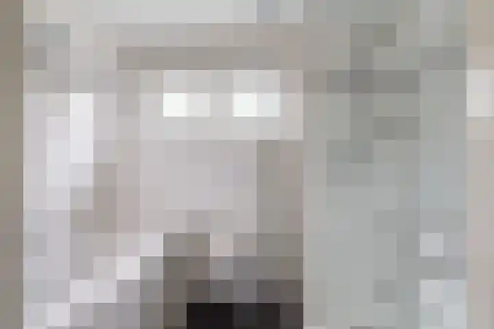 Okeghemlaan 4 Breda thumbnail 23