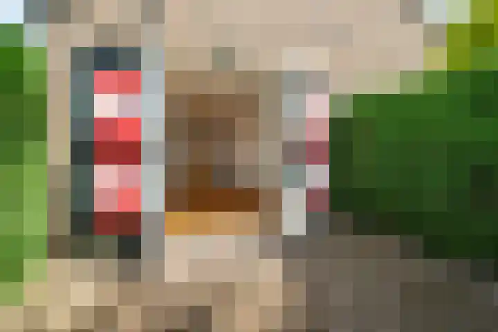 Okeghemlaan 4 Breda thumbnail 32