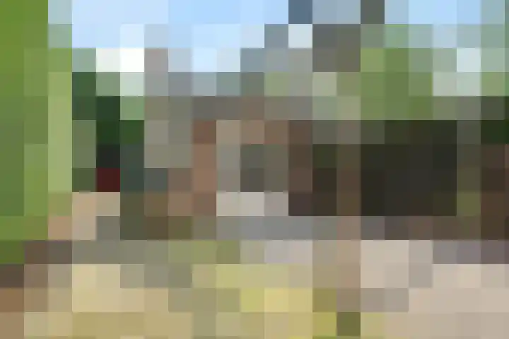 Okeghemlaan 4 Breda thumbnail 33