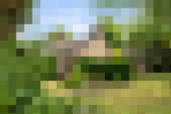 Okeghemlaan 4 Breda thumbnail 38