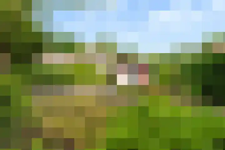 Okeghemlaan 4 Breda thumbnail 39