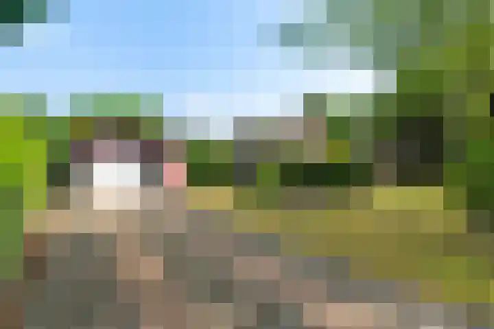 Okeghemlaan 4 Breda thumbnail 40