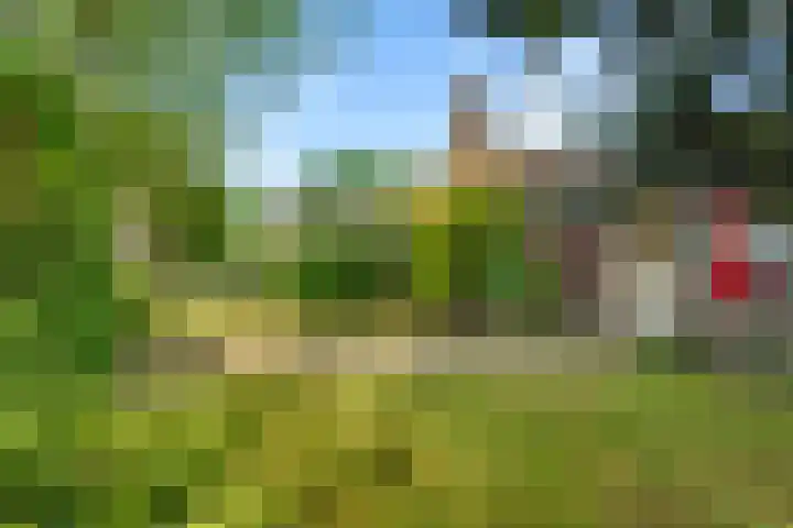 Okeghemlaan 4 Breda thumbnail 43
