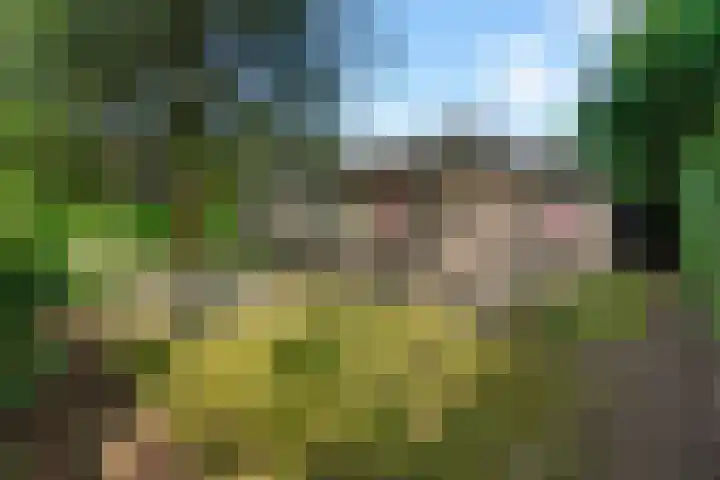 Okeghemlaan 4 Breda thumbnail 44