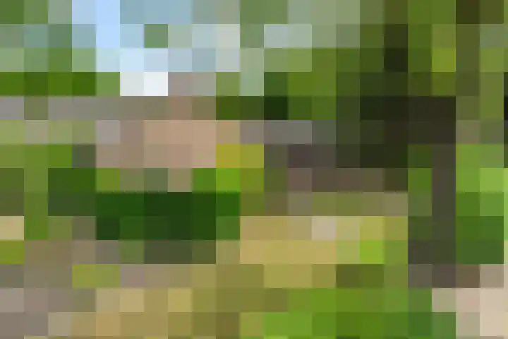 Okeghemlaan 4 Breda thumbnail 46