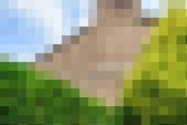Okeghemlaan 4 Breda thumbnail 47