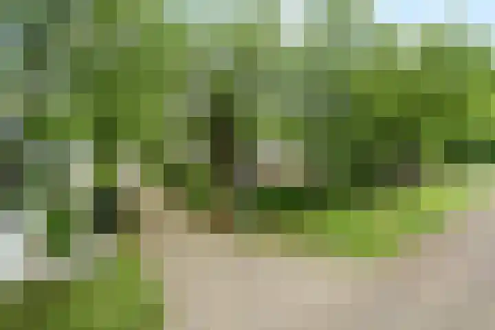 Okeghemlaan 4 Breda thumbnail 48
