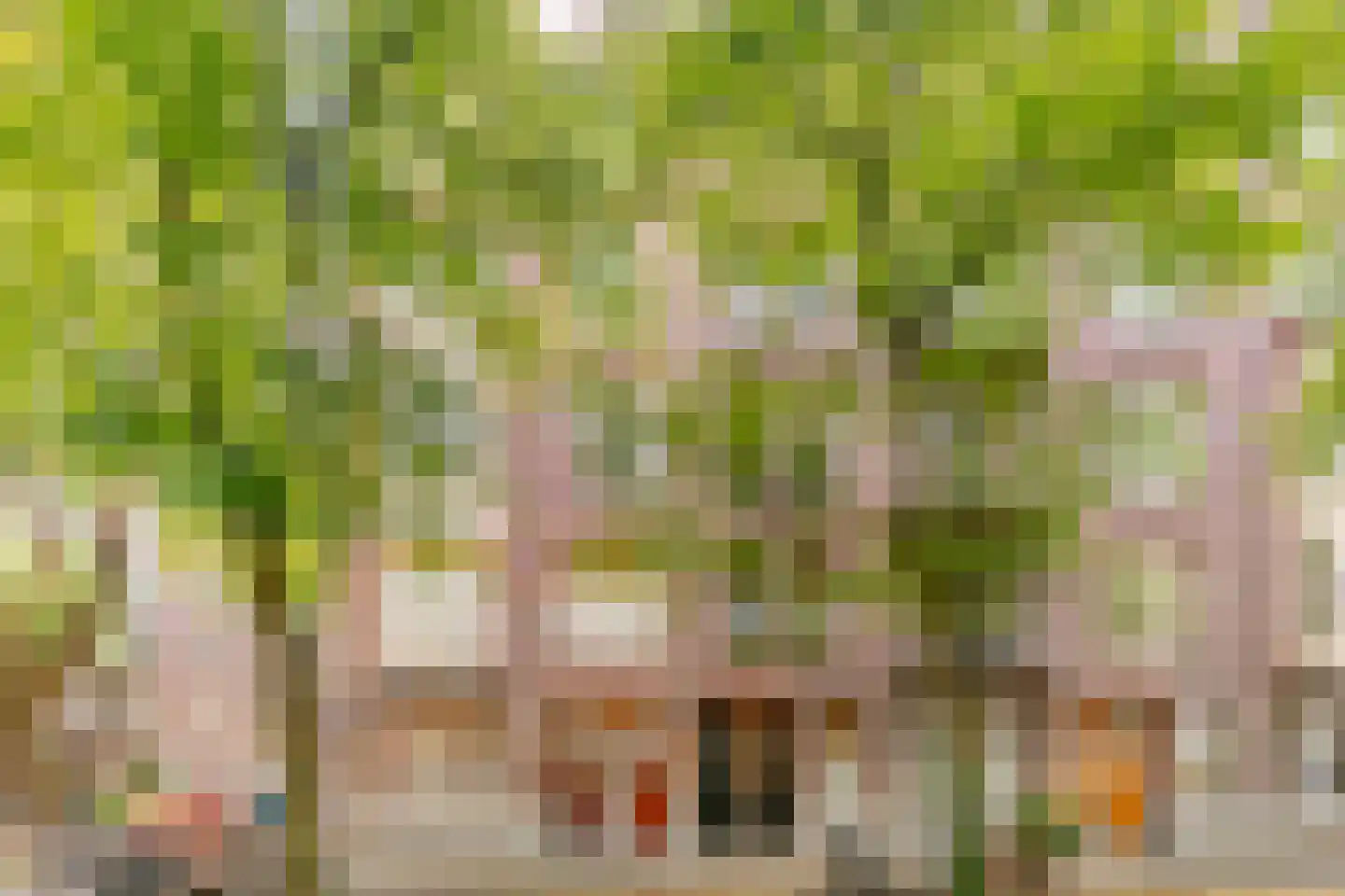 Okeghemstraat 10 2 Amsterdam thumbnail 11