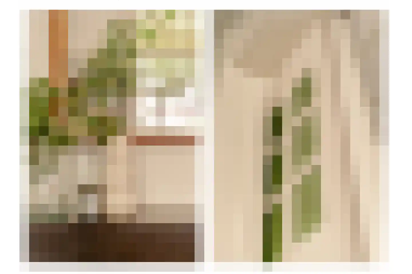 Okeghemstraat 10 2 Amsterdam thumbnail 18
