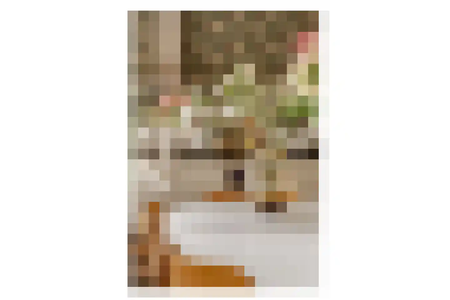Okeghemstraat 10 2 Amsterdam thumbnail 21