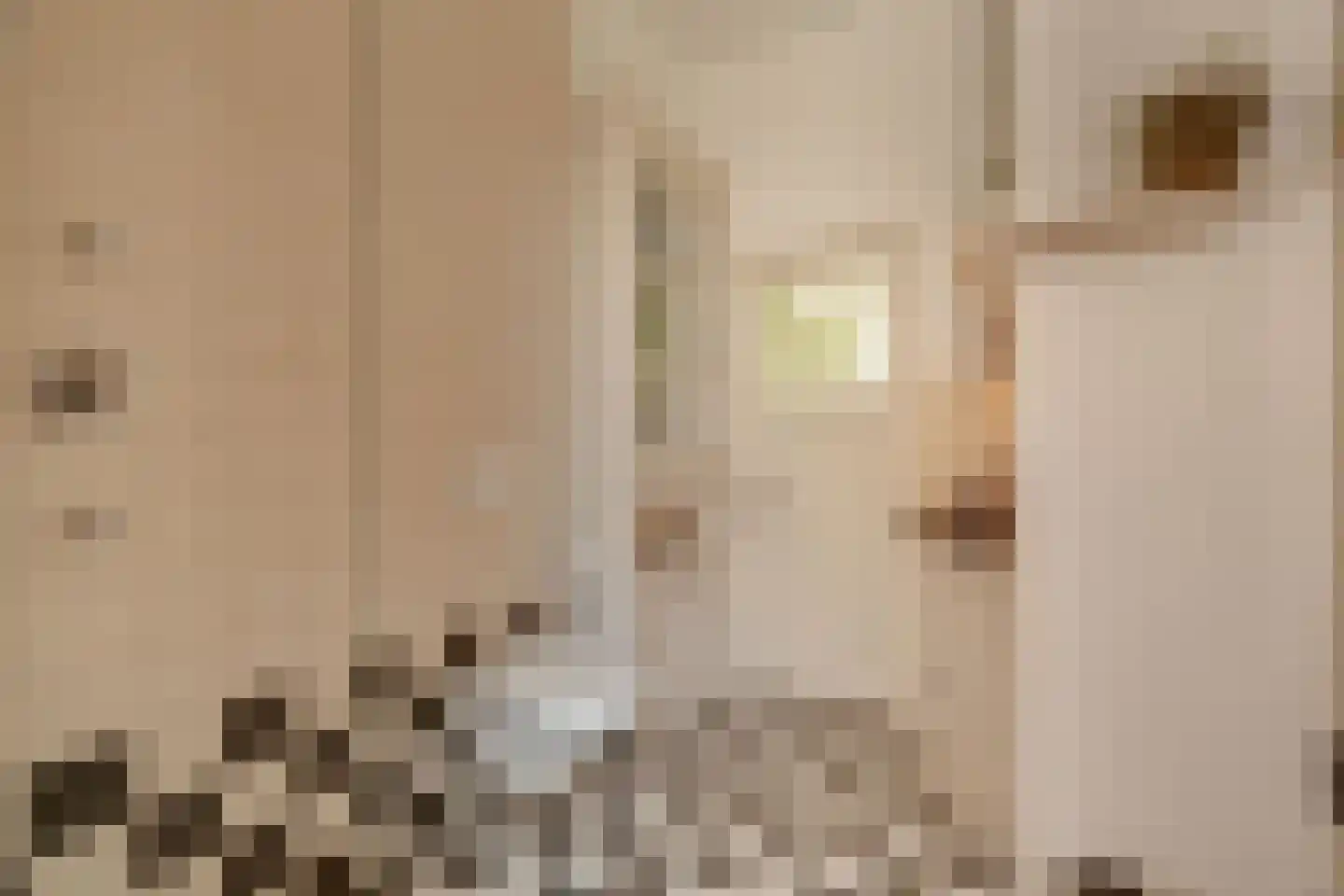 Okeghemstraat 10 2 Amsterdam thumbnail 25