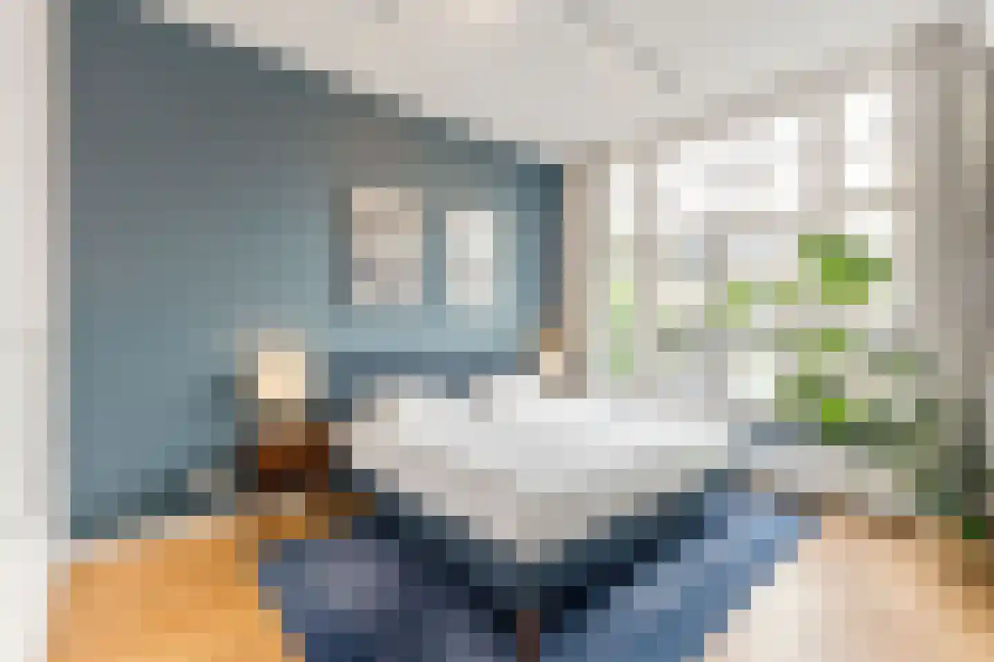 Okeghemstraat 19 2 Amsterdam thumbnail 18