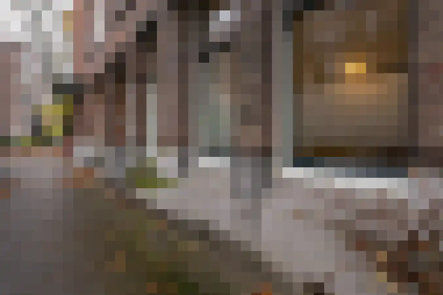 Okeghemstraat 8 3 Amsterdam thumbnail 10