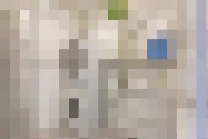 Okerhof 2 Voorburg thumbnail 19