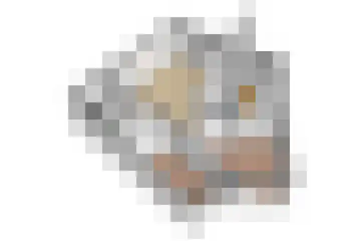 Okerhof 2 Voorburg thumbnail 25