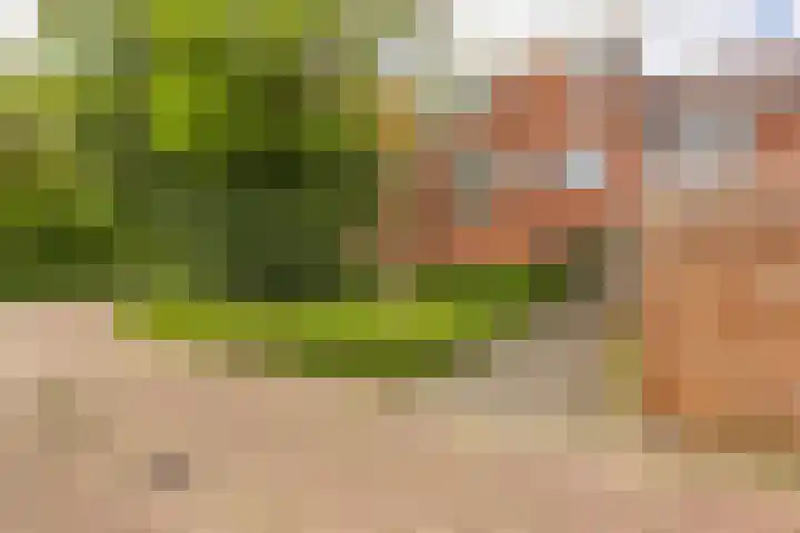 Okerhof 2 Voorburg thumbnail 28