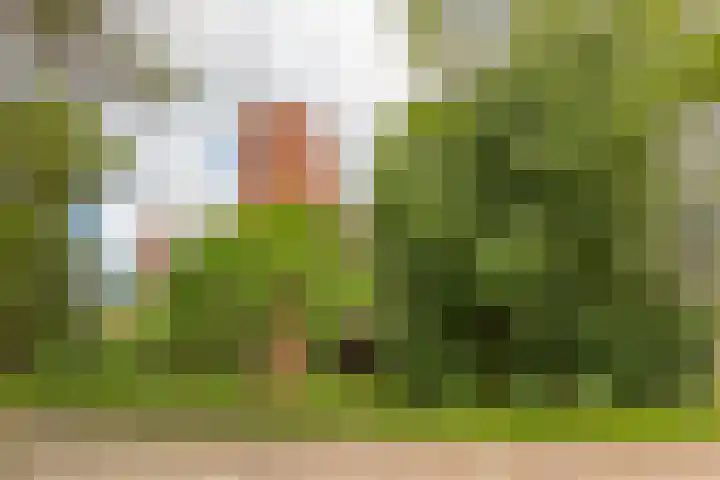 Okerhof 2 Voorburg thumbnail 29