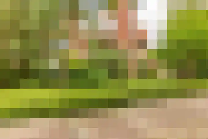 Okerhof 2 Voorburg thumbnail 31
