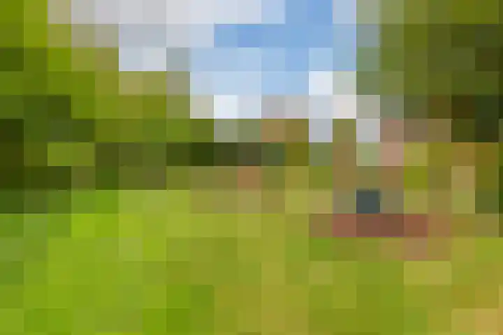 Okerhof 2 Voorburg thumbnail 32
