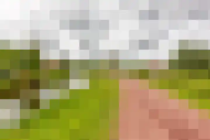 Okerhof 2 Voorburg thumbnail 34