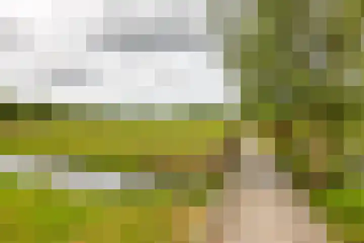 Okerhof 2 Voorburg thumbnail 35
