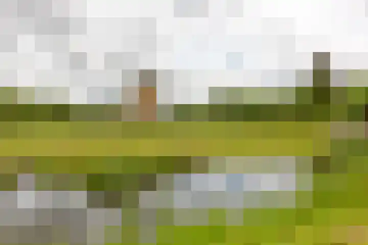 Okerhof 2 Voorburg thumbnail 36