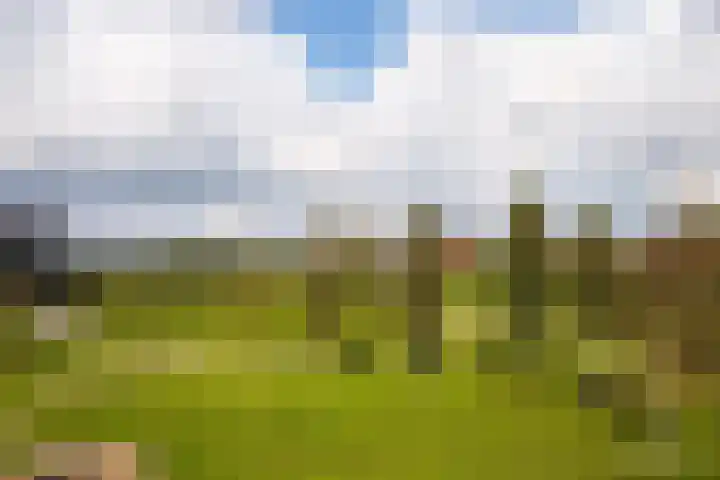 Okerhof 2 Voorburg thumbnail 38