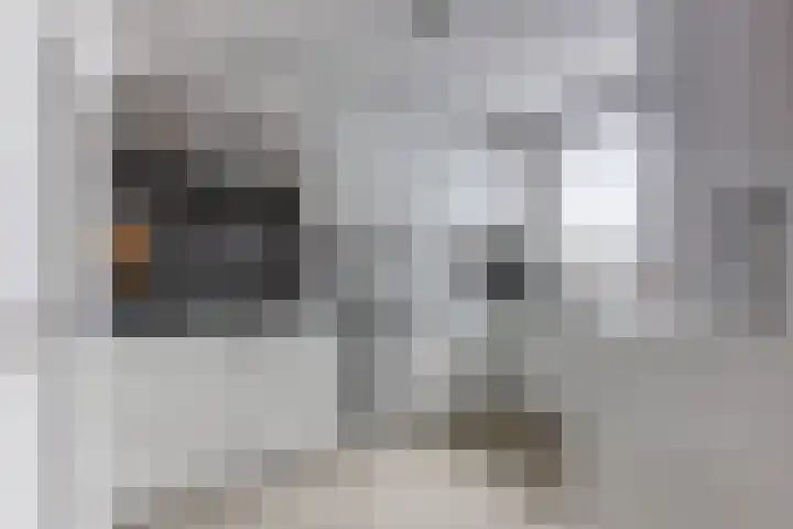 Okerhof 2 Voorburg thumbnail 4