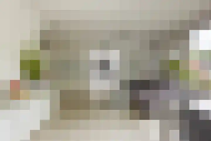 Okerhof 2 Voorburg thumbnail 9