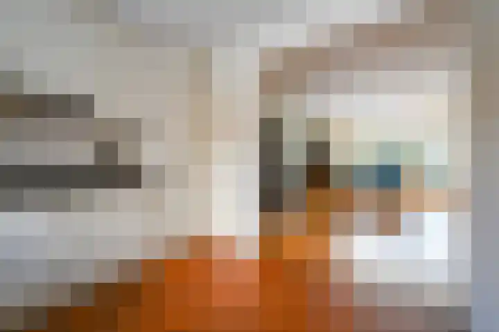 Okerhof 53 Voorburg thumbnail 16
