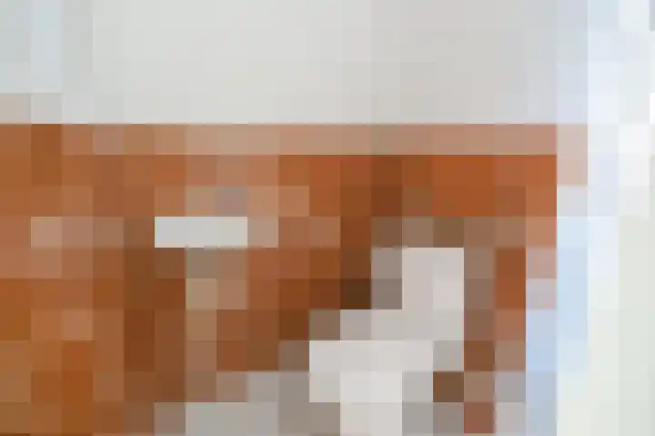 Okerhof 53 Voorburg thumbnail 9