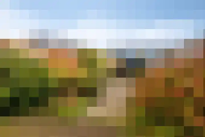 Okerstraat 47 Almere thumbnail 4