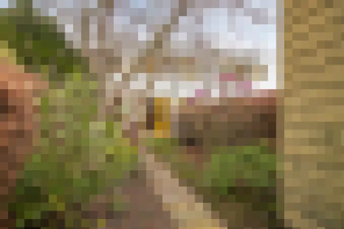 Okerstraat 64 Almere thumbnail 20