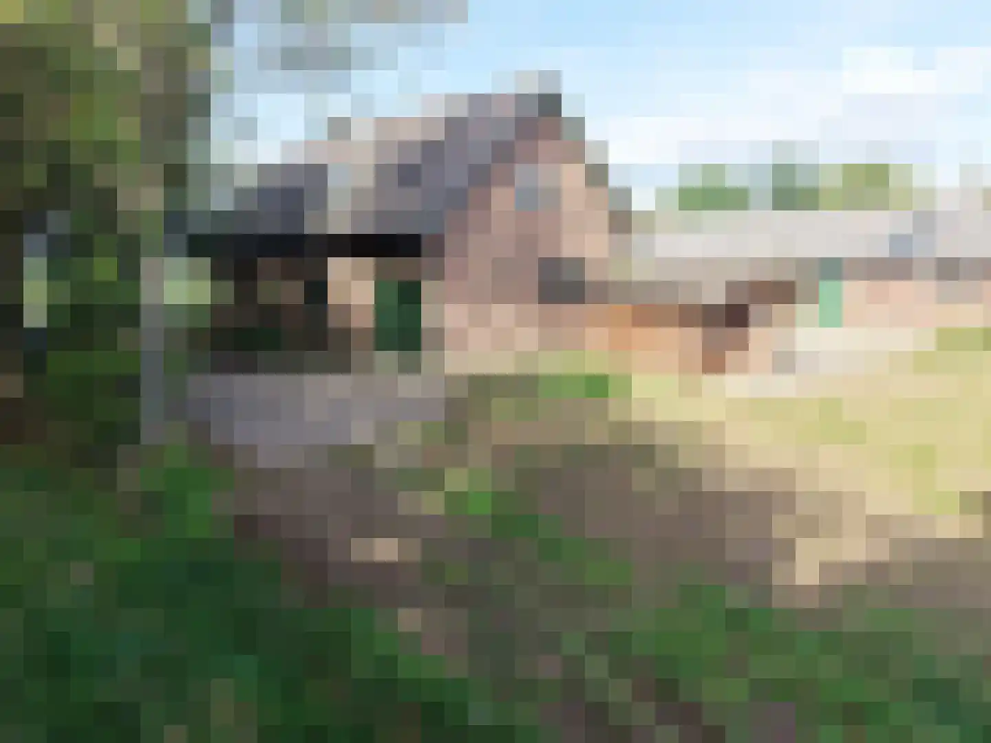 Okhorstweg 9 Wichmond thumbnail 43