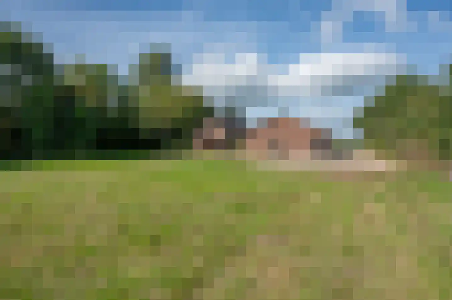Okhorstweg 9 Wichmond thumbnail 52