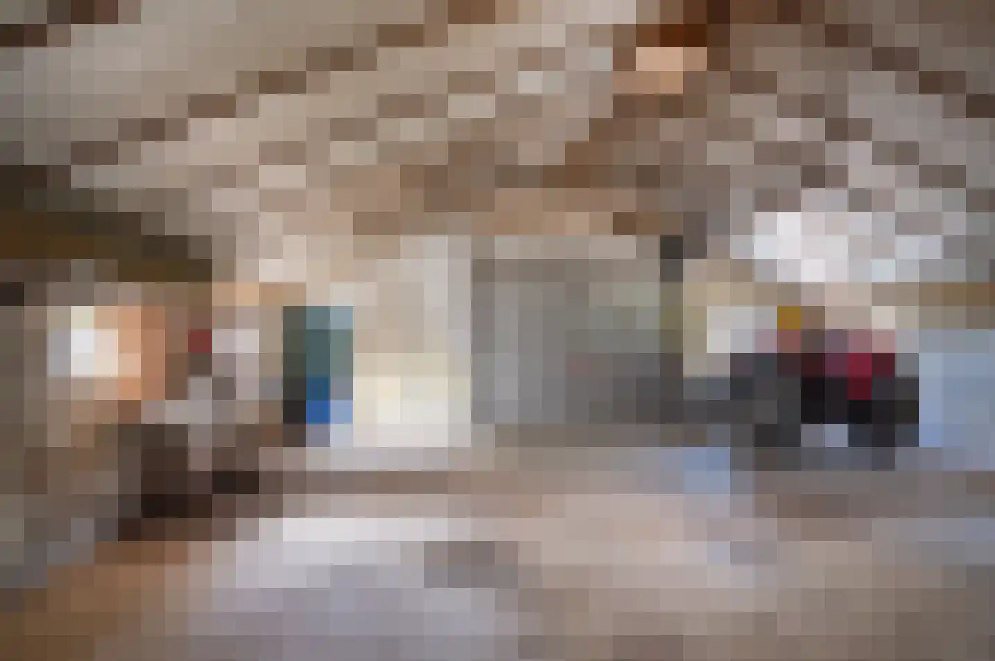Okhorstweg 9 Wichmond thumbnail 54